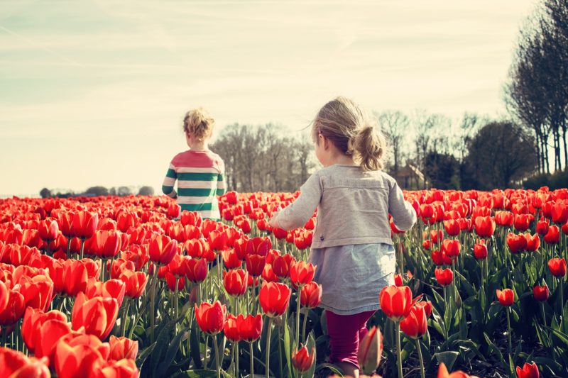 Spring Themed Sensory Bin Ideas